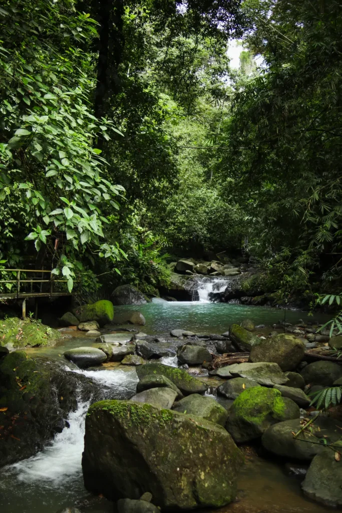 O que fazer em Uvita: 14 coisas que provam que vale a pena incluí-la no vosso roteiro pela Costa Rica (+mapa) 19 O que fazer em Uvita Catarata Uvita