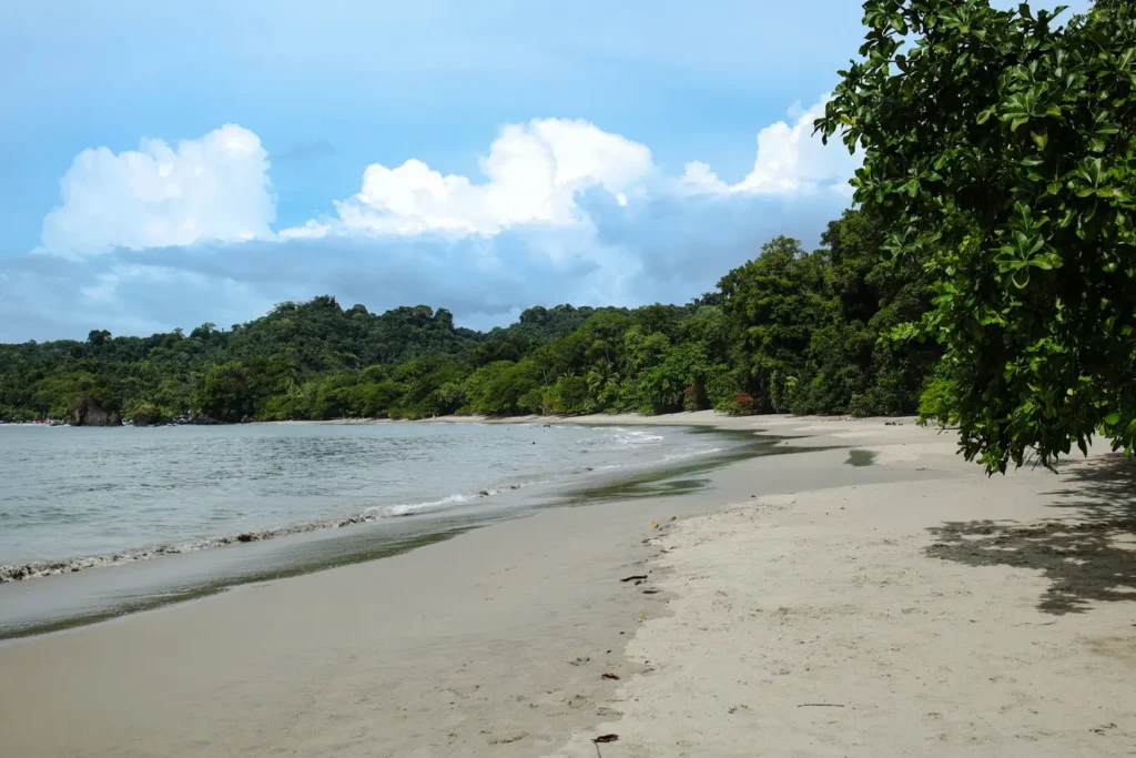 The ultimate Manuel Antonio National Park guide for first time visitors 41 Playa Espadilla Sur in Manuel Antonio National Park