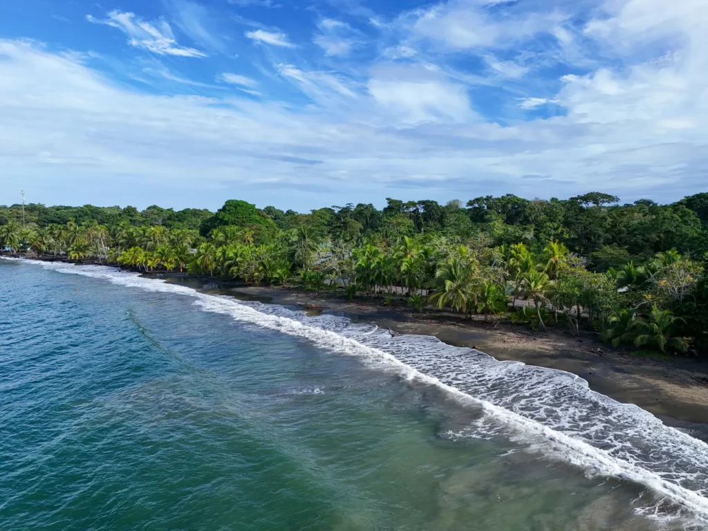 14 best things to do in Puerto Viejo: the ultimate guide (+map) 21 Playa Negra in Puerto Viejo 10