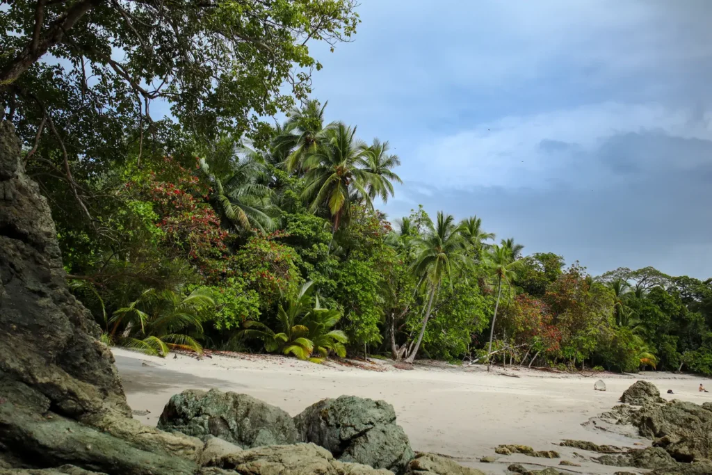 The ultimate Manuel Antonio National Park guide for first time visitors 7 Punta Catedral hiking trail in Manuel Antonio National Park 10