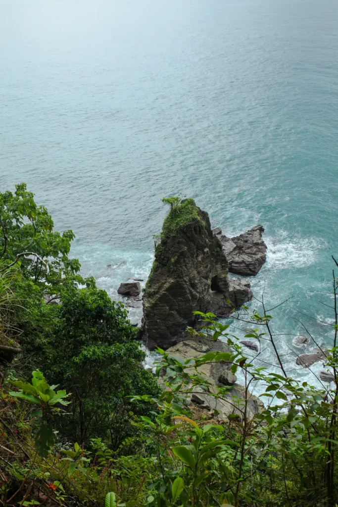 The ultimate Manuel Antonio National Park guide for first time visitors 3 Punta Catedral hiking trail in Manuel Antonio National Park 6