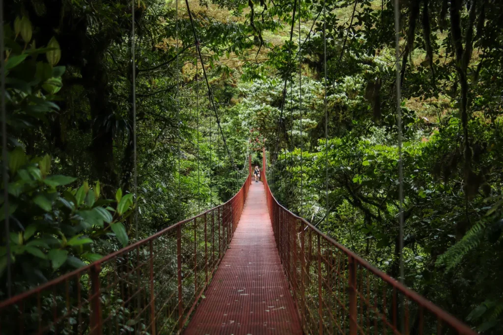 O que fazer em Monteverde: 15 experiências imperdíveis para uma primeira visita (+mapa) 32 Roteiro de Monteverde Reserva de Monteverde