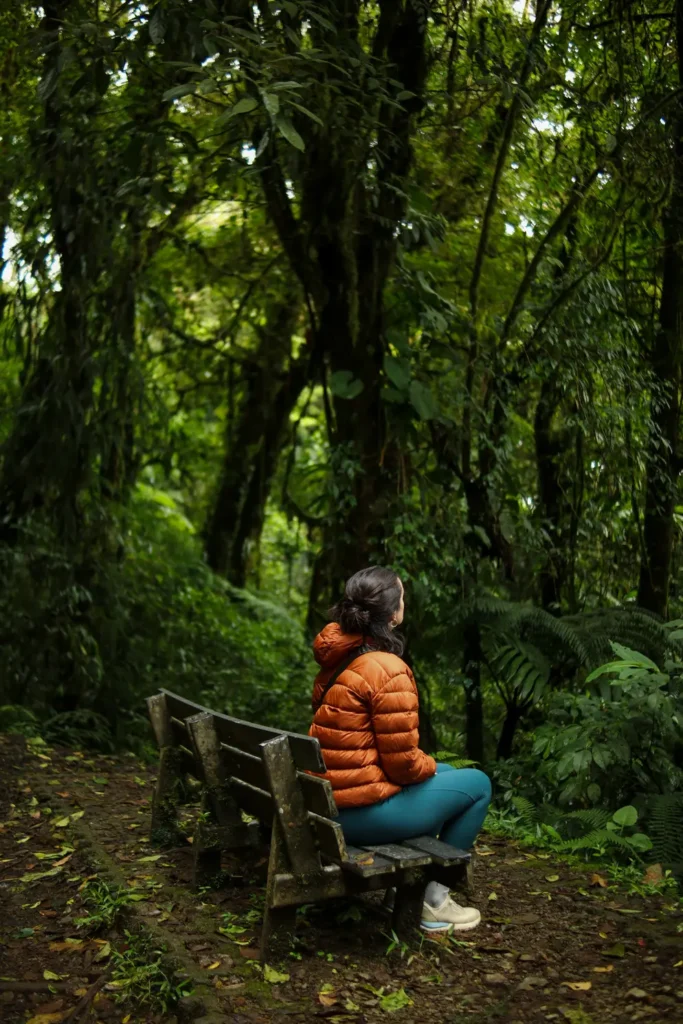 O que fazer em Monteverde: 15 experiências imperdíveis para uma primeira visita (+mapa) 5 Roteiro de Monteverde Reserva de Monteverde