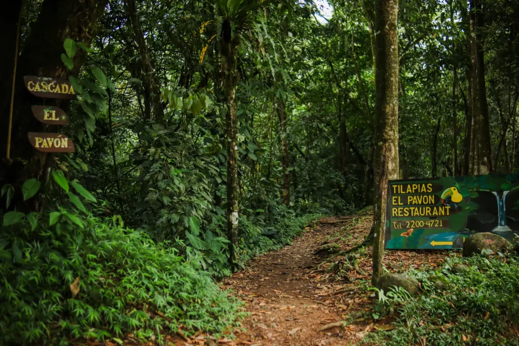O que fazer em Uvita: 14 coisas que provam que vale a pena incluí-la no vosso roteiro pela Costa Rica (+mapa) 31 Roteiro de Uvita Cascata El Pavon