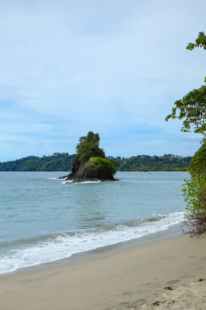 The ultimate Manuel Antonio National Park guide for first time visitors 8 Sendero Playa Espadilla Sur in Manuel Antonio National Park 2