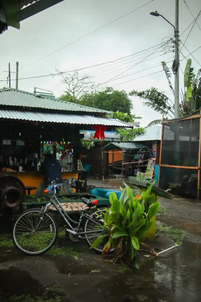 7 best things to do in Tortuguero 21 Things to do in Tortuguero Tortuguero village 10