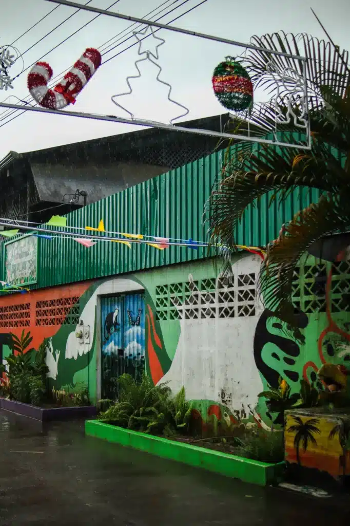 7 best things to do in Tortuguero 5 Things to do in Tortuguero Tortuguero village 6
