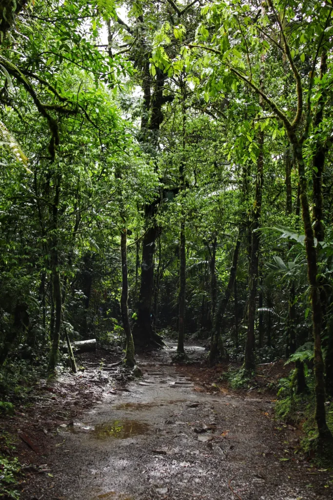Ultimate guide to visit Rio Celeste waterfall (Costa Rica) 21 Tips for visiting Rio Celeste waterfall 2
