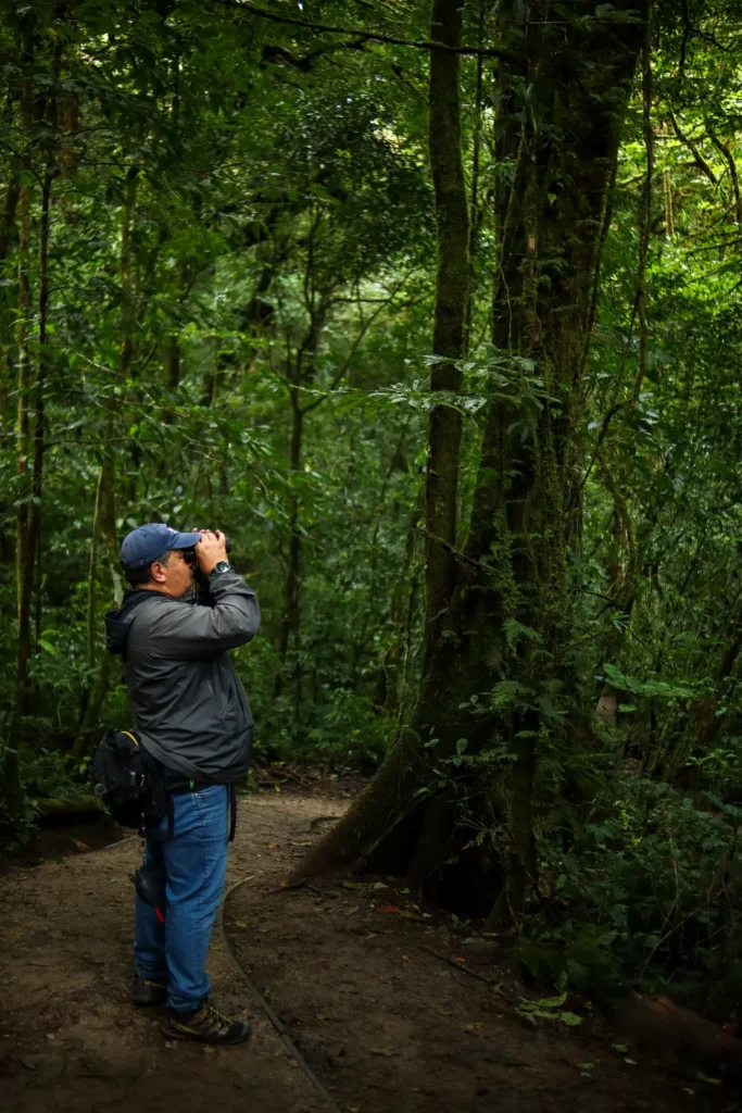 O que fazer em Monteverde: 15 experiências imperdíveis para uma primeira visita (+mapa) 4 Tour da floresta nublada de Monteverde com a Costa Rica Inspire 2