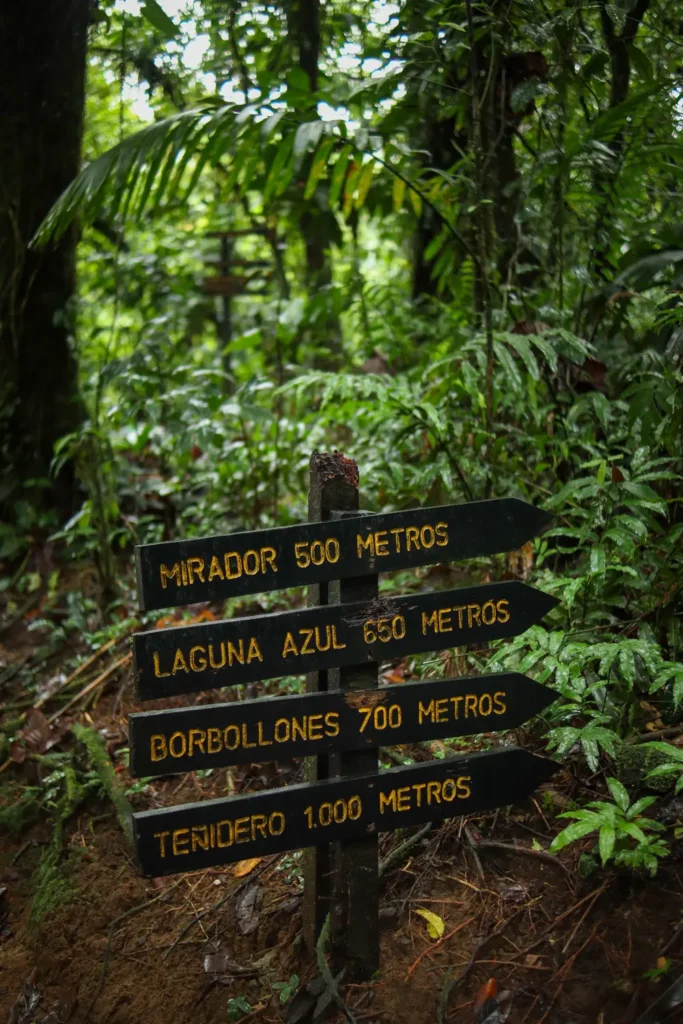 Ultimate guide to visit Rio Celeste waterfall (Costa Rica) 16 Trail to Rio Celeste waterfall 5