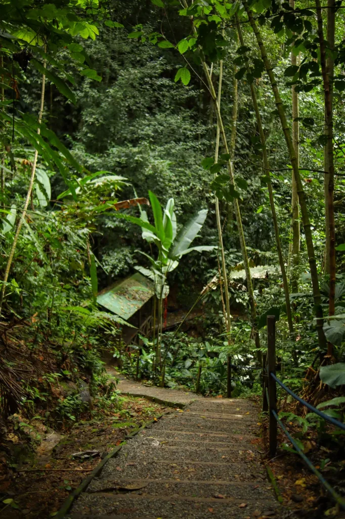 How to visit Nauyaca waterfalls and make it one of the highlights of your Costa Rica trip 17 Trail to reach Nauyaca Waterfalls
