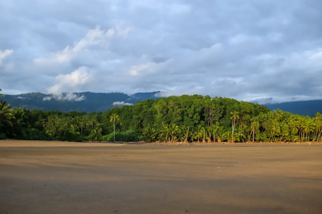O que fazer em Uvita: 14 coisas que provam que vale a pena incluí-la no vosso roteiro pela Costa Rica (+mapa) 32 Visitar Uvita cauda da baleia