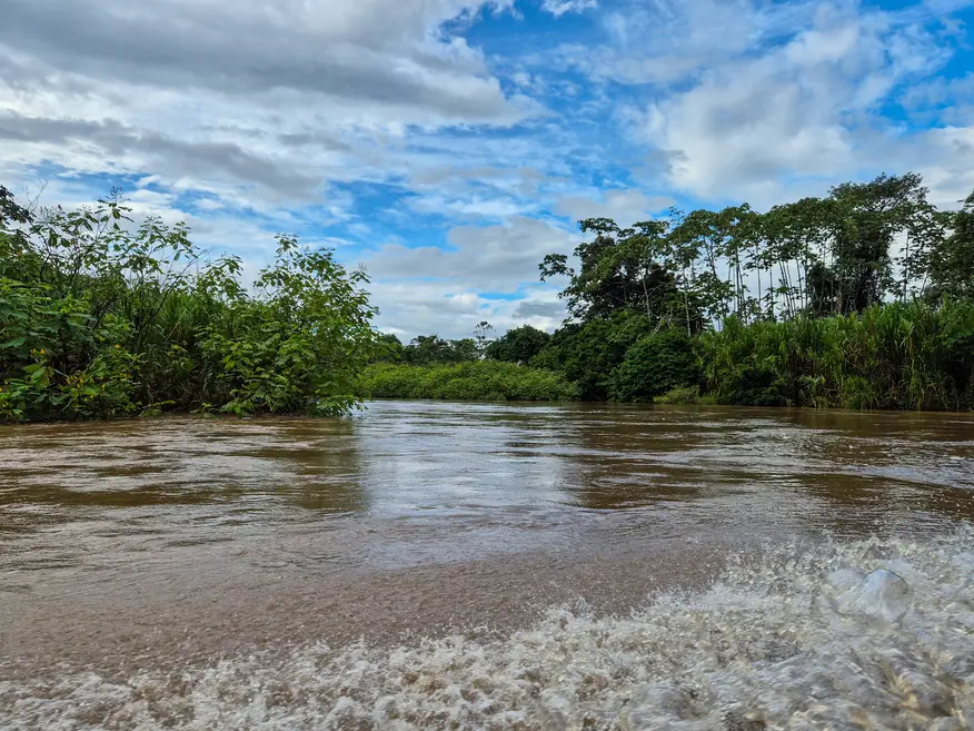 O que fazer em Tortuguero: 7 coisas imperdíveis 12 Como chegar a Tortuguero Passeio de barco Tortuguero 3