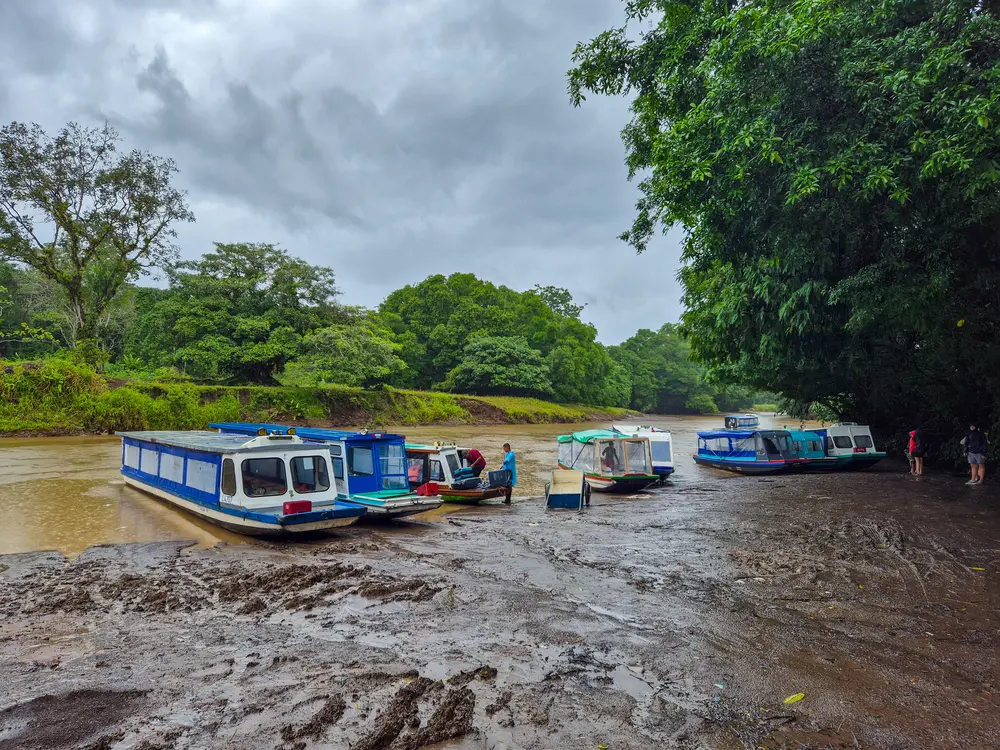 Como chegar a Tortuguero: o que precisam saber 5 Como chegar a Tortuguero de La Pavona