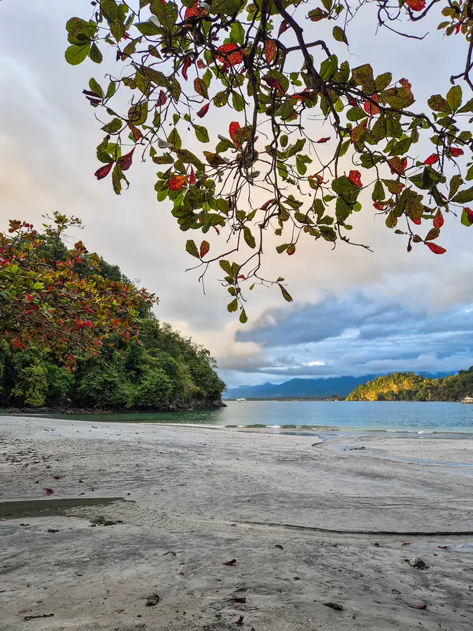 Como passar 2 dias em Manuel Antonio: guia simples e prático 2 Como passar 2 dias em Manuel Antonio Playa Biesanz 3