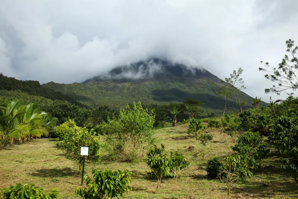 A Costa Rica é segura? A verdade, os riscos e as boas notícias 10 Como passar 3 dias em La Fortuna Trilho Arenal 1968