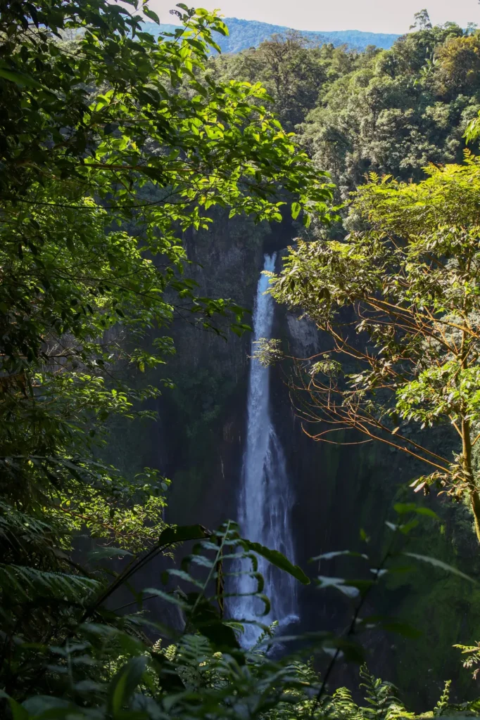 Como visitar a Catarata del Toro: guia completo para uma das cascatas mais impressionantes da Costa Rica 13 Como visitar a Catarata del Toro