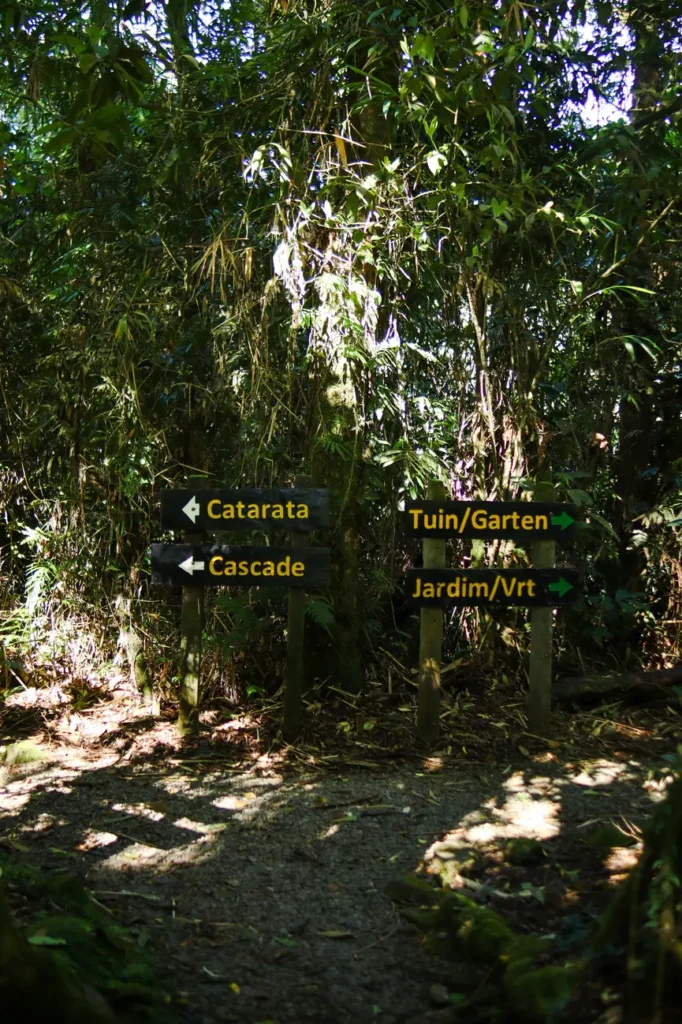 Como visitar a Catarata del Toro: guia completo para uma das cascatas mais impressionantes da Costa Rica 14 Como visitar a Catarata del Toro