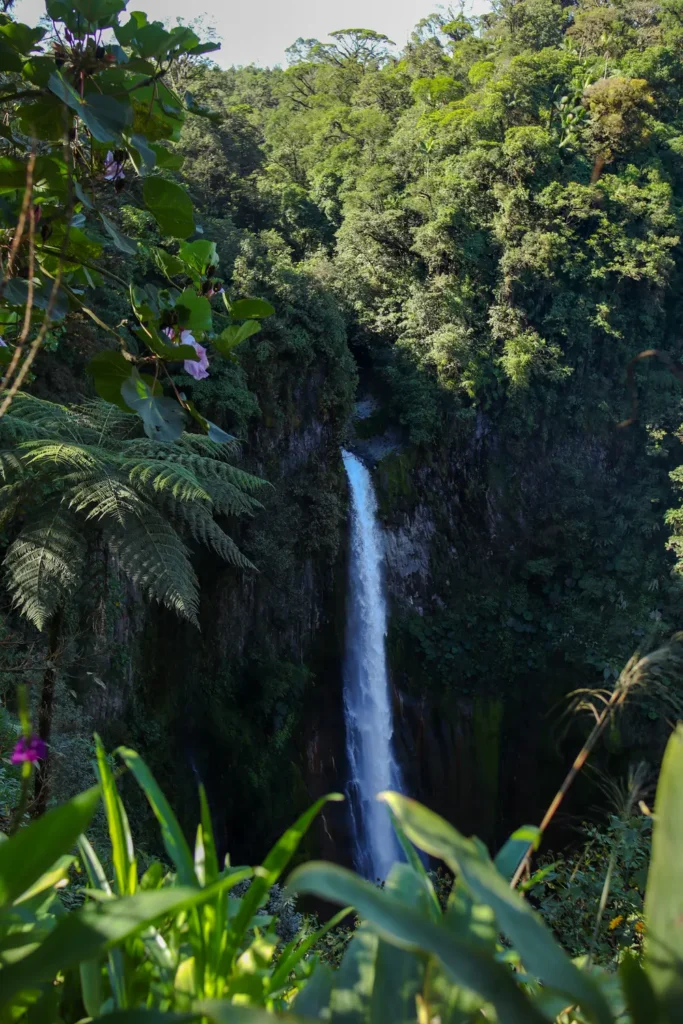Como visitar a Catarata del Toro: guia completo para uma das cascatas mais impressionantes da Costa Rica 2 Como visitar a Catarata del Toro