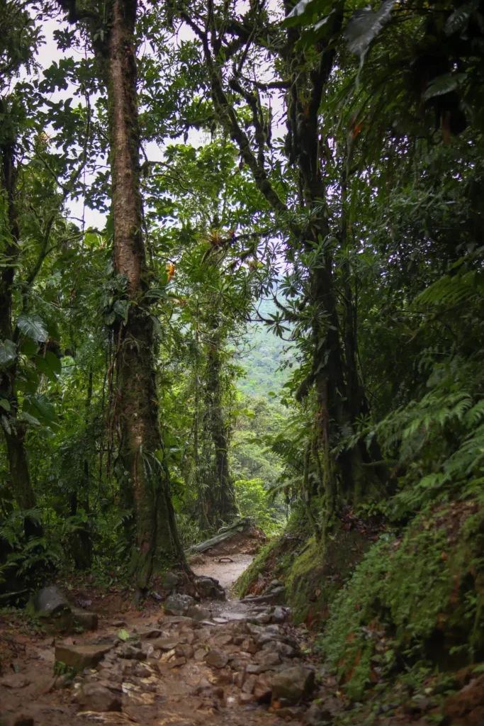 Guia completo para visitar a cascata do Rio Celeste (Costa Rica) 14 Como visitar o Parque Nacional Tenorio Volcano