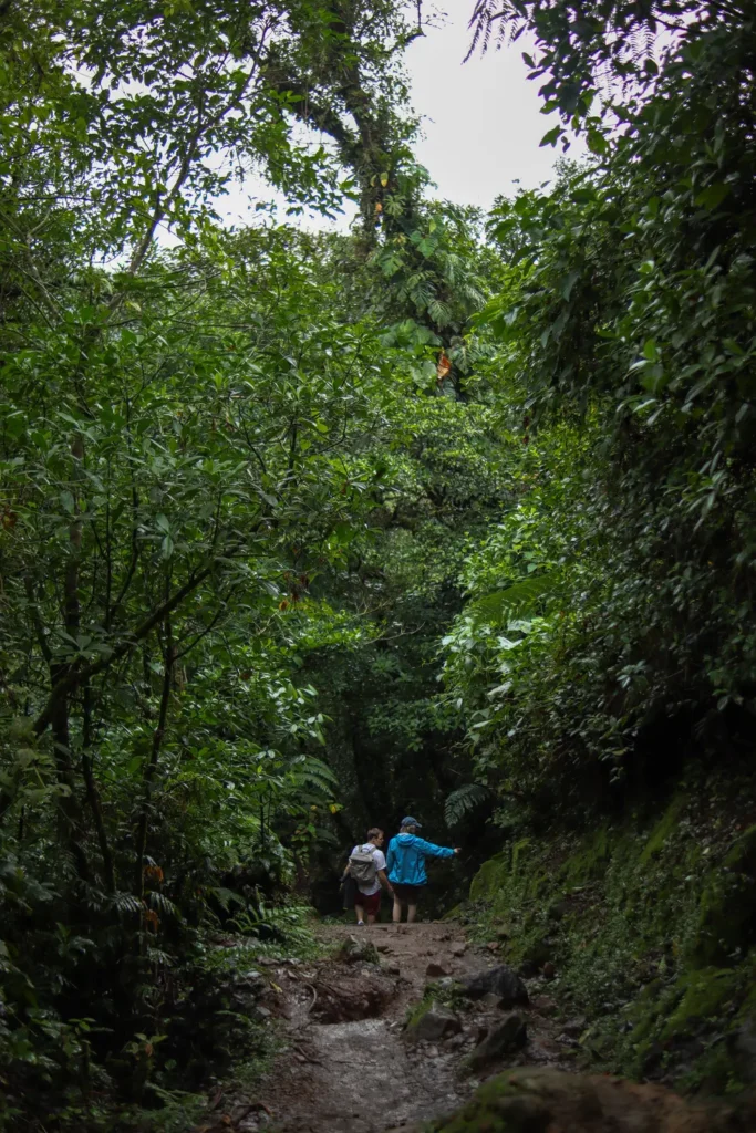 Guia completo para visitar a cascata do Rio Celeste (Costa Rica) 13 Como visitar o Parque Nacional Tenorio Volcano