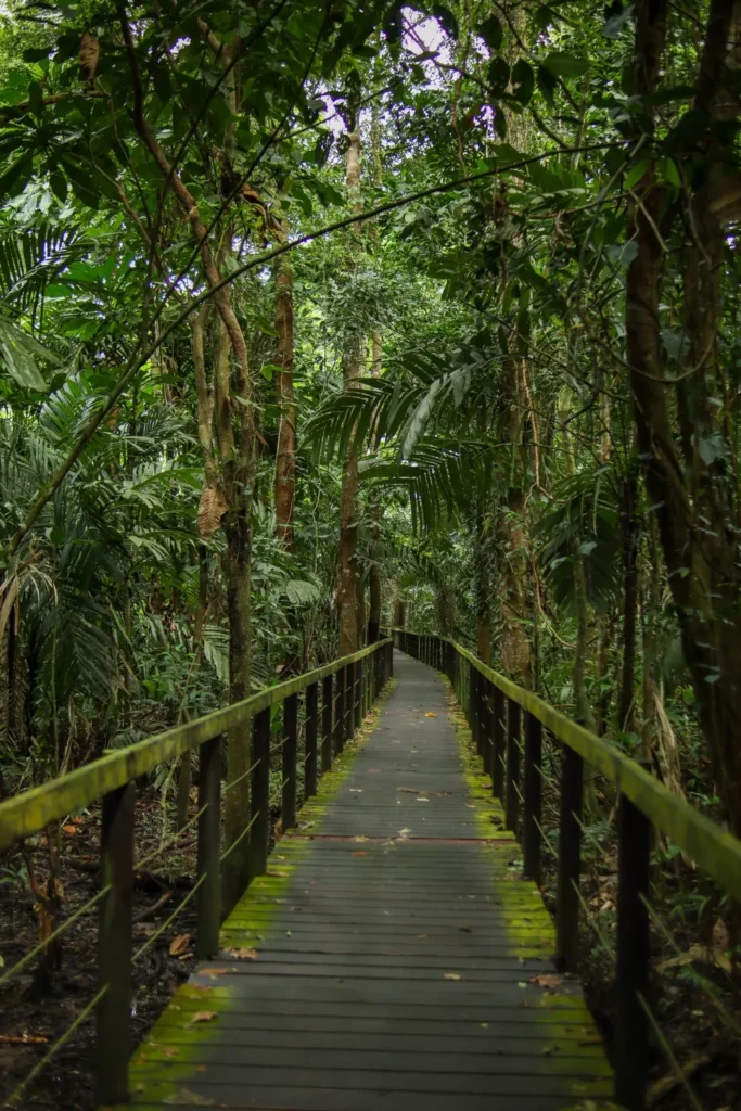 Guia do Parque Nacional Cahuita: tudo o que precisam saber 30 Como visitar o parque nacional Cahuita 2