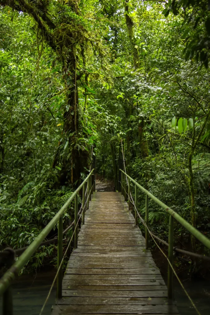 Guia completo para visitar a cascata do Rio Celeste (Costa Rica) 19 Dicas para visitar a cascata do Rio Celeste