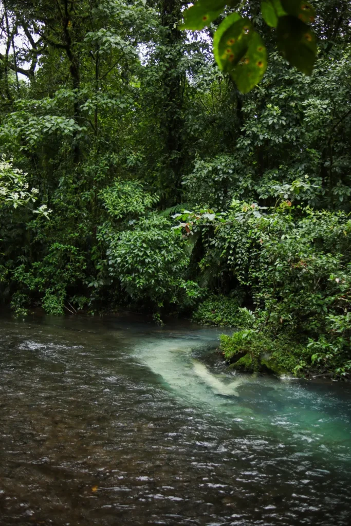 Guia completo para visitar a cascata do Rio Celeste (Costa Rica) 12 Dicas para visitar a cascata do Rio Celeste
