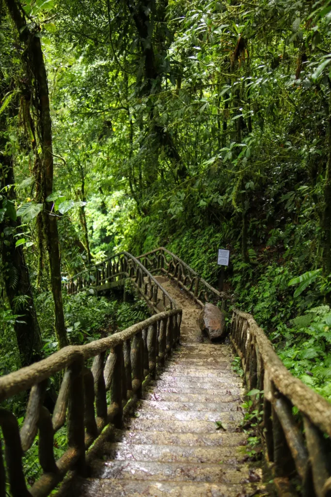 Guia completo para visitar a cascata do Rio Celeste (Costa Rica) 7 Dicas para visitar a cascata do Rio Celeste