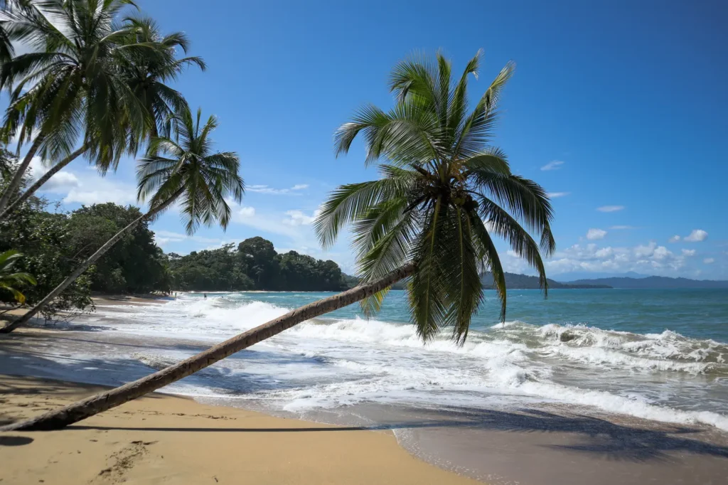 O que fazer em Puerto Viejo: 14 coisas imperdíveis (+mapa) 29 O que fazer em Puerto Viejo Playa Punta Uva Arrecife