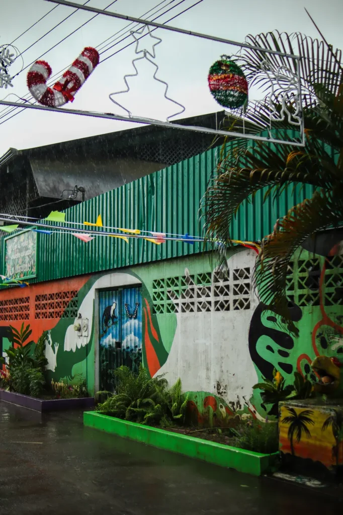 O que fazer em Tortuguero: 7 coisas imperdíveis 5 O que fazer em Tortuguero vila de Tortuguero