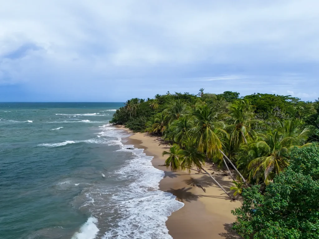 O que fazer em Puerto Viejo: 14 coisas imperdíveis (+mapa) 14 Playa Punta Uva Arrecife em Puerto Viejo