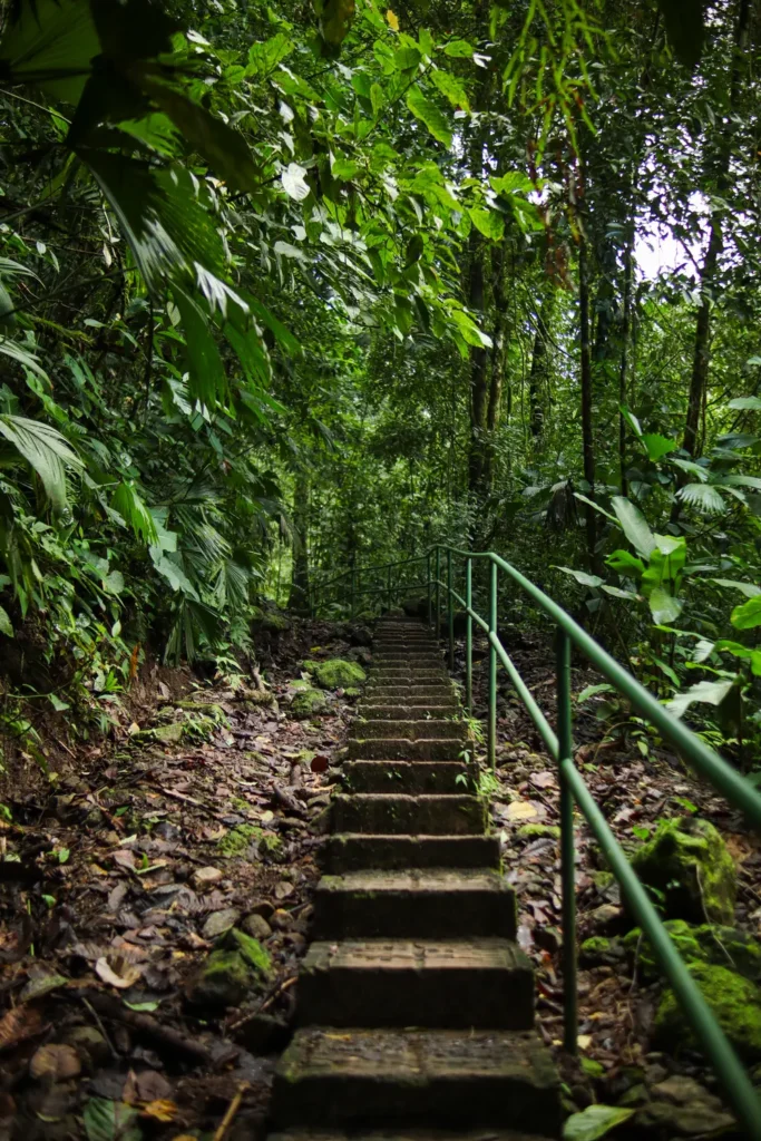 Como passar 2 dias em Manuel Antonio: guia simples e prático 19 Roteiro de Manuel Antonio Rainmaker Conservation Park