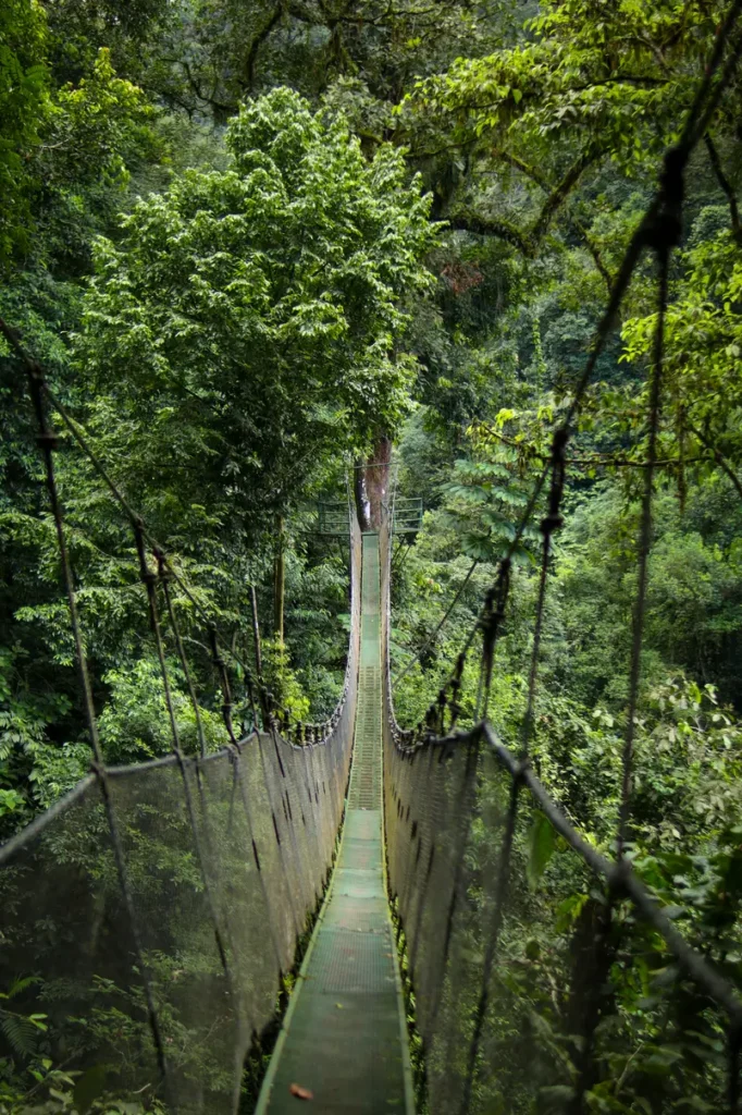Como passar 2 dias em Manuel Antonio: guia simples e prático 22 Roteiro de Manuel Antonio Rainmaker Conservation Park