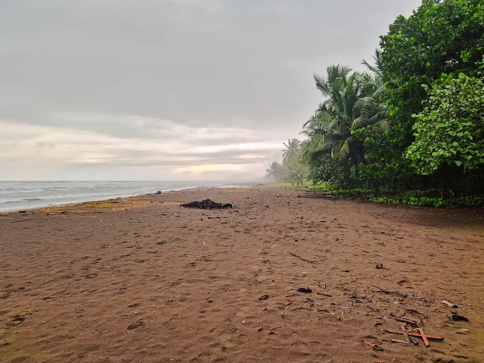 O que fazer em Tortuguero: 7 coisas imperdíveis 16 Roteiro de Tortuguero Playa Tortuguero