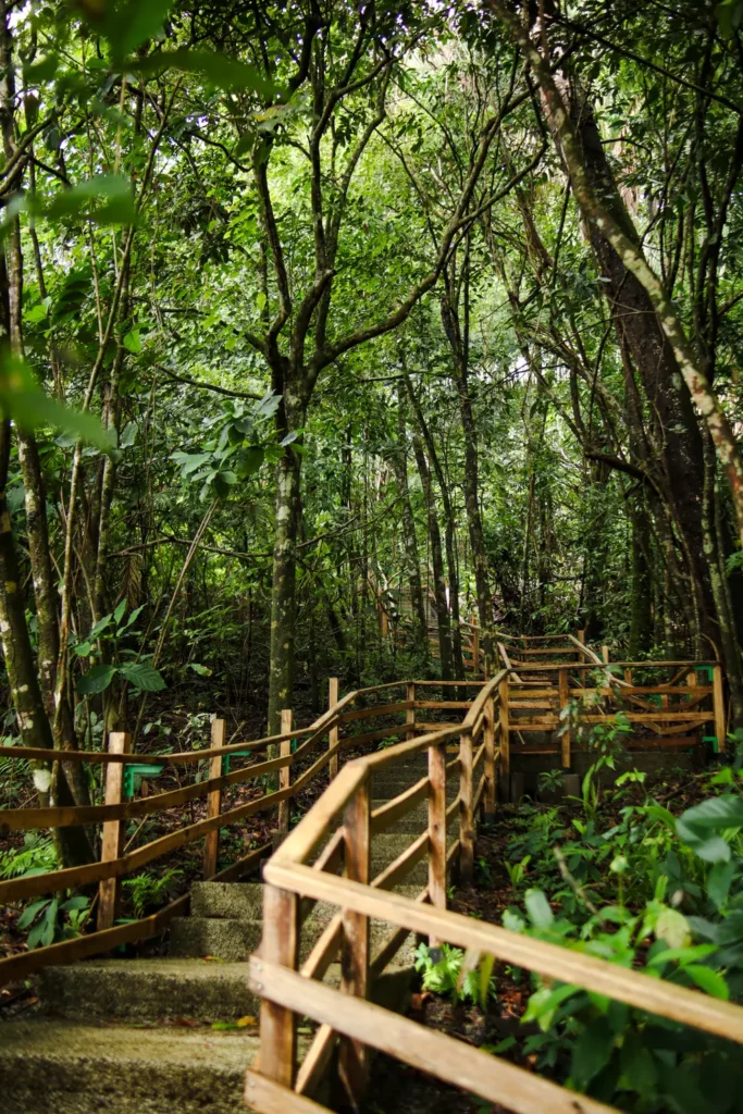 Como passar 2 dias em Manuel Antonio: guia simples e prático 5 Trilho Punta Catedral Parque Nacional Manuel Antonio
