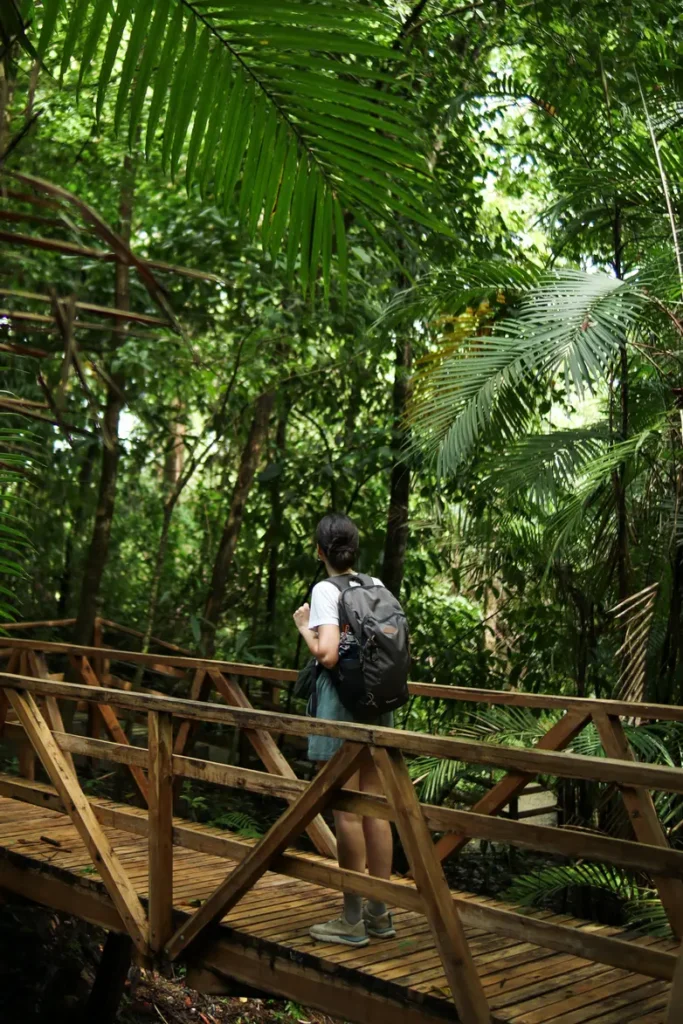 O guia completo do Parque Nacional Manuel Antonio para quem o visita pela primeira vez 38 Trilho Punta Catedral Parque Nacional Manuel Antonio