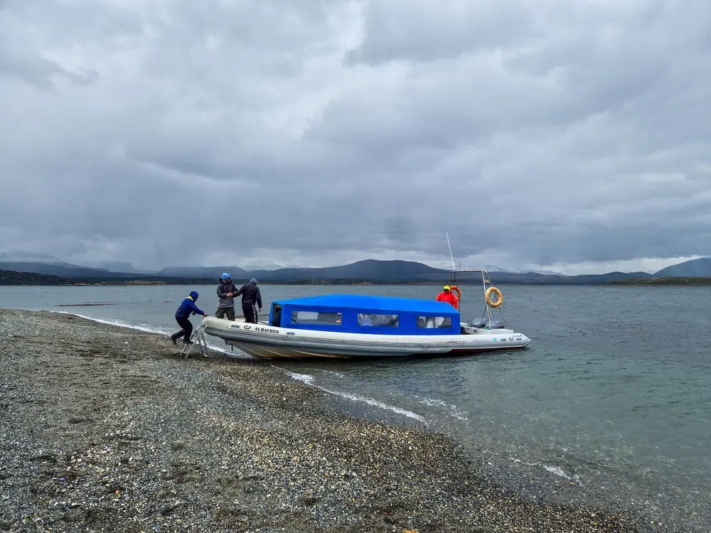 Review da tour de pinguins na Ilha Martillo: vale a pena caminhar com pinguins em Ushuaia? 12 Barco para chegar à ilha Martillo