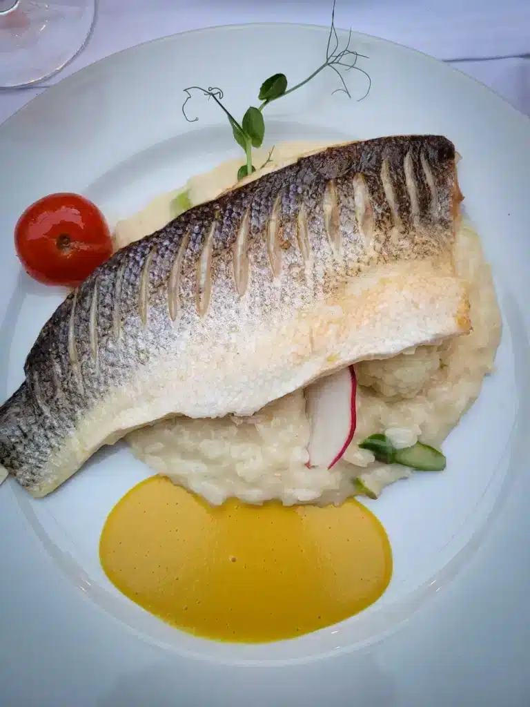 The best restaurants in Porto by a local: my favorite spots for every mood 23 Best restaurants in Porto Flow